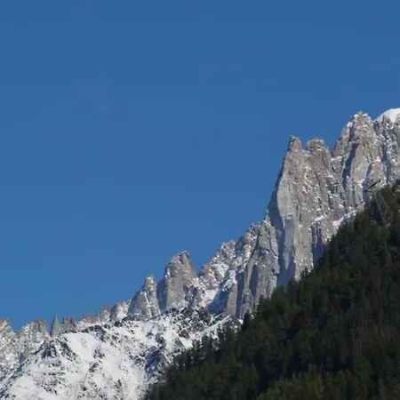 Modern With Garden * Chamonix