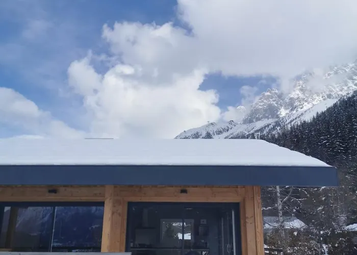 Modern With Garden *