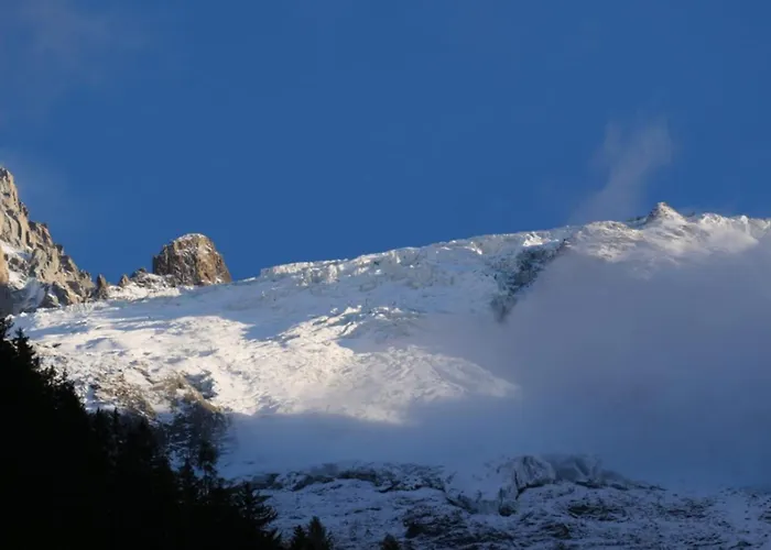 Modern With Garden Chalet Chamonix